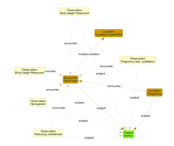 Use case 3 First MOH visit