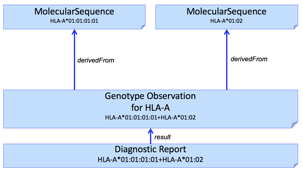 histocompatibility-fig1-hla-a-genotype.png