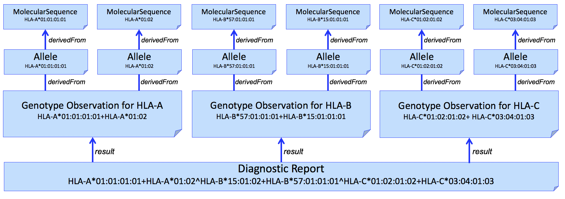 histocompatibility-fig4-hla-abc-genotype-allele.png