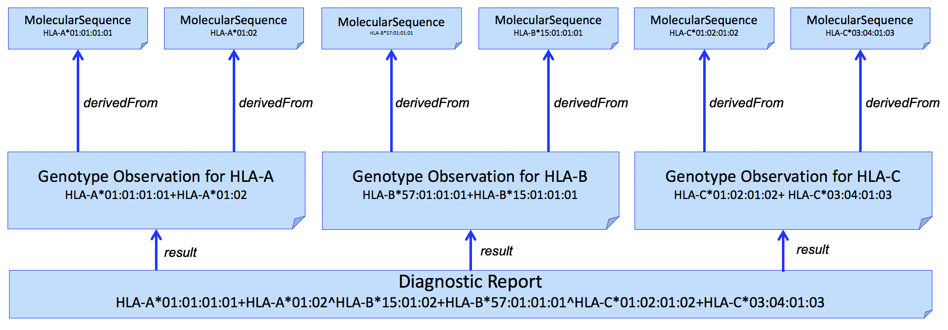 Genetic test report for HLA-A, -B, and -C genotyping, with molecular sequence data used to derive each genotype.