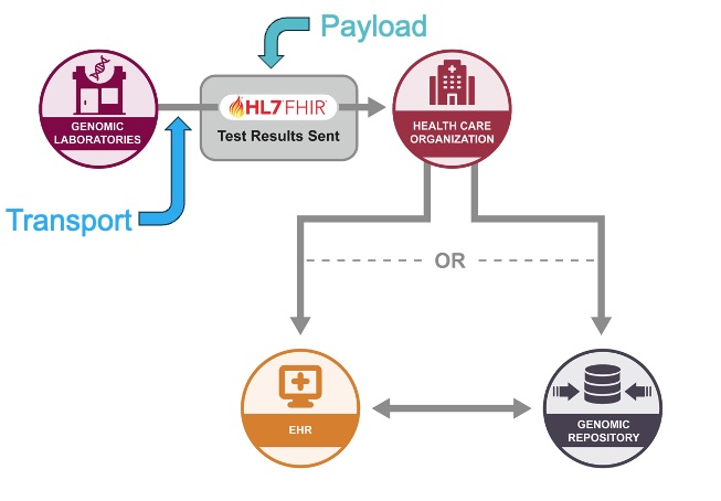 Overview diagram of the Data Exchange use case including transport and payload of HL7 FHIR test results being sent from Genomic Laboratories to Health Care Organizations