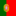 flag pt