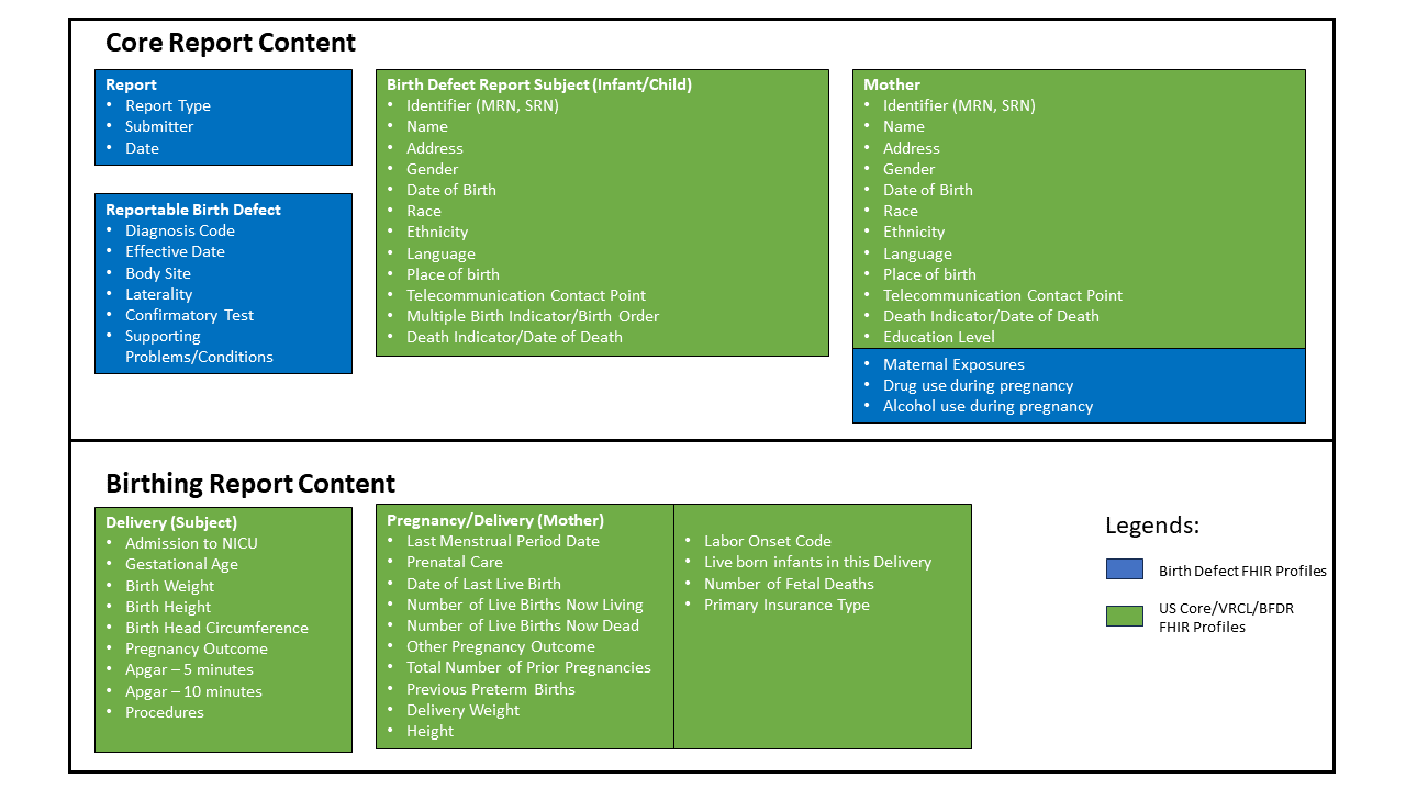 Birth Defect Report Data Content