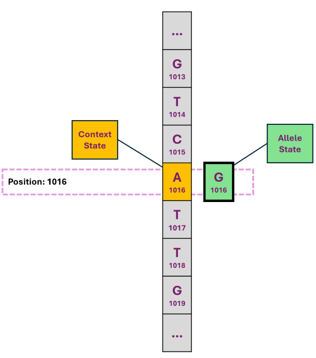 A Diagram descriping Allele profile and how it leverages the Focus code system
