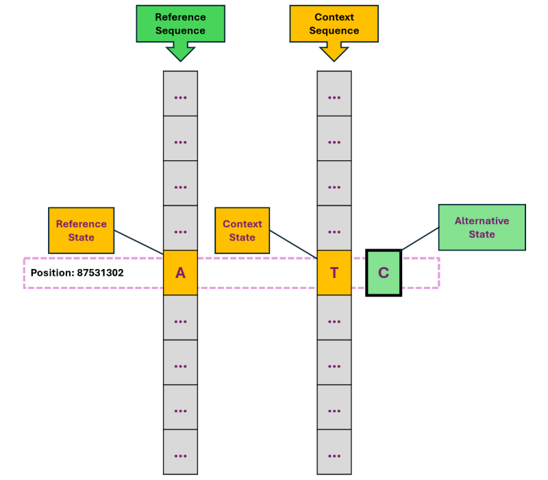 A Diagram descriping Variation profile and how it leverages the Focus code system
