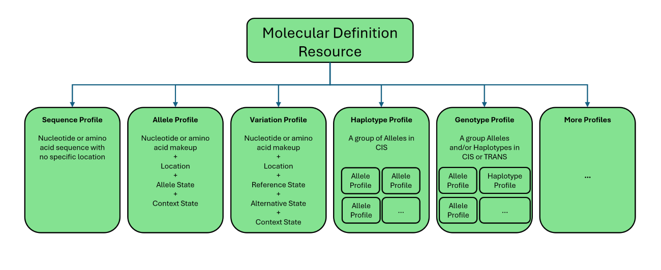 MolecularDefinition Profiles and Relationships MolecularDefinition Profiles