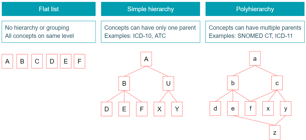 Different hierarchies