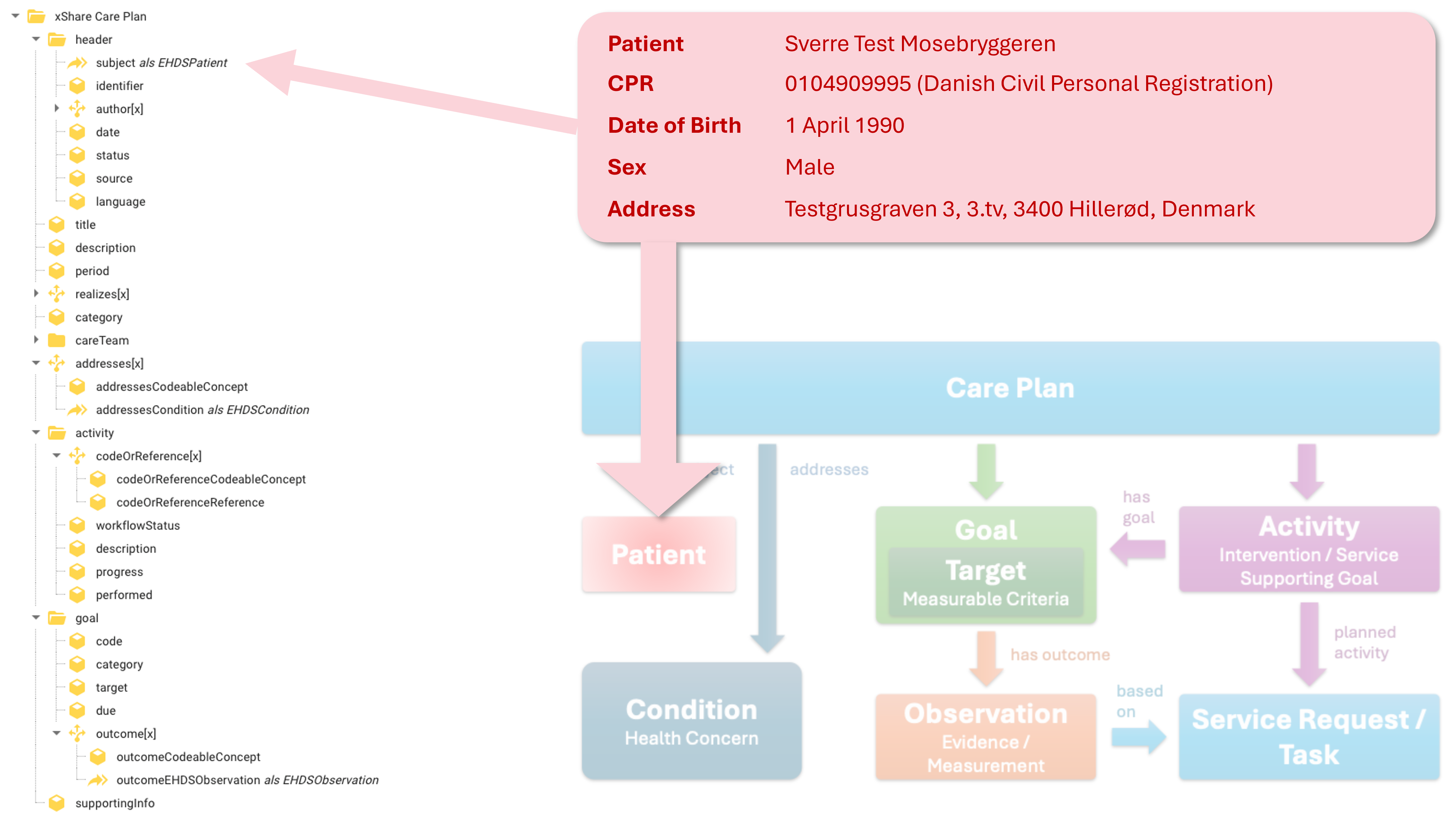 Patient information mapped to the logical model
