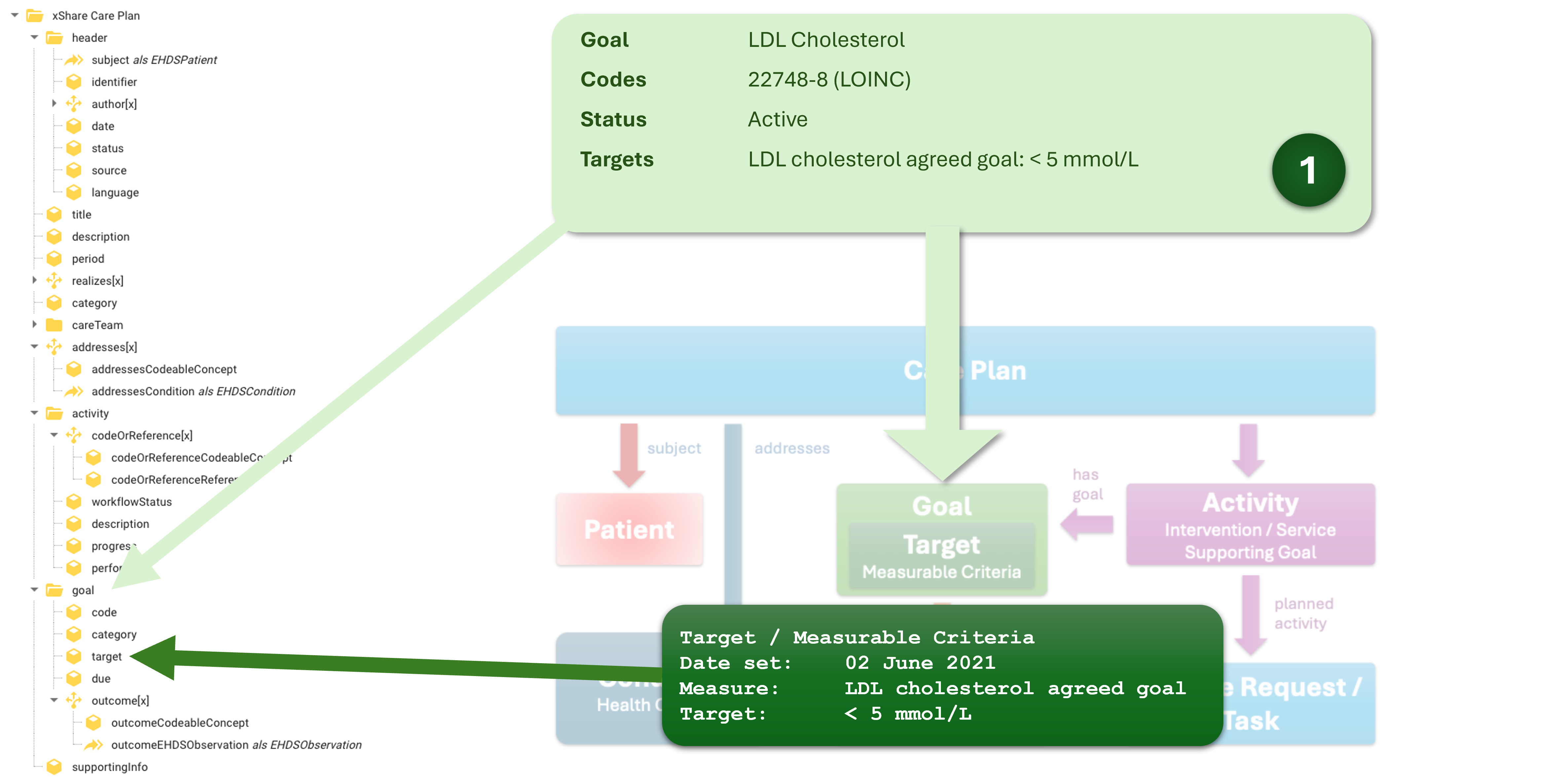 Care Plan goal information mapped to the logical model