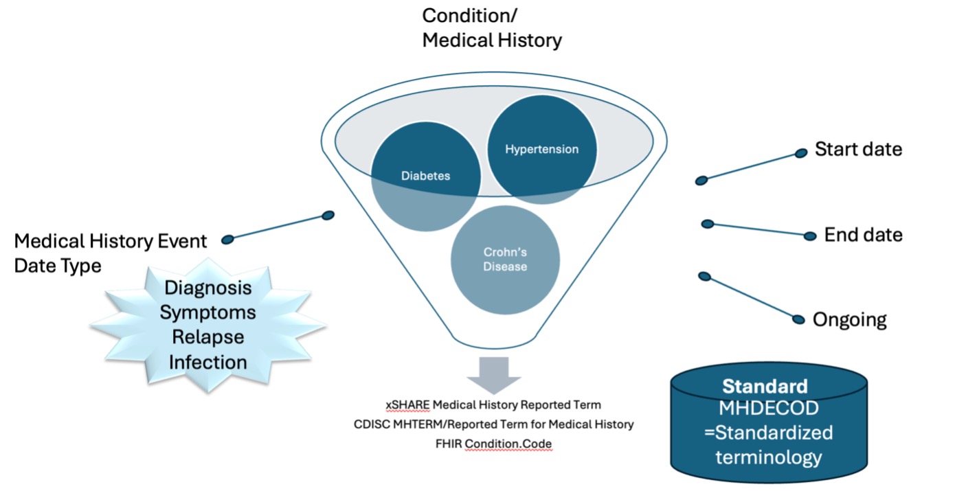 Diagram of terminology and model concepts