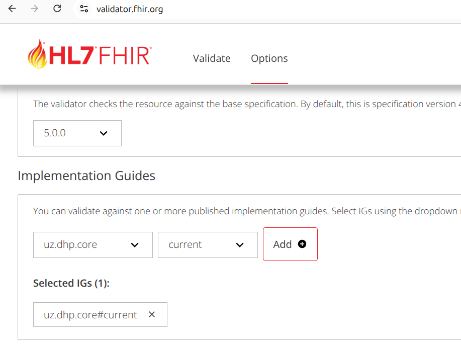 validator-fhir-org-1-options.png