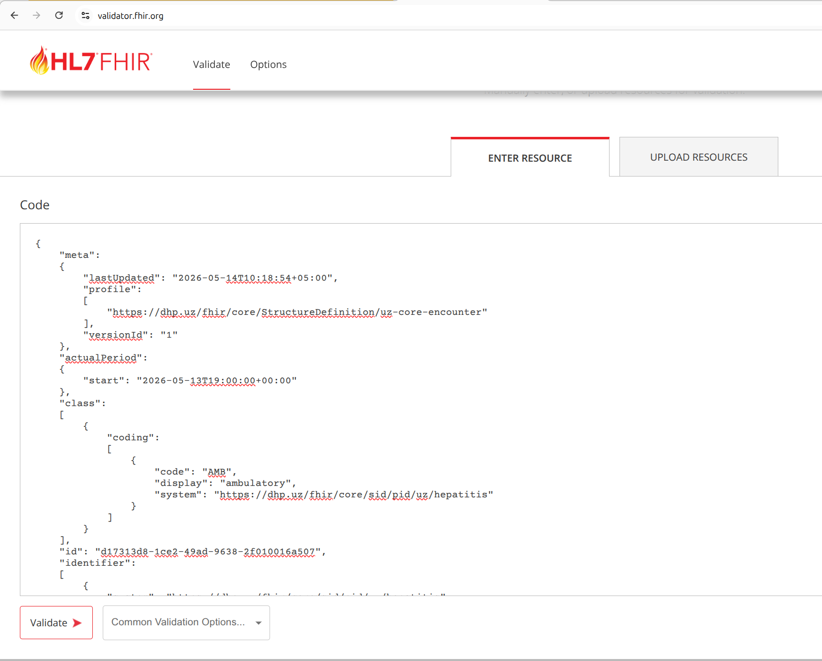 validator-fhir-org-2-enter-resource.png